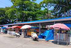 Dulu Pakai Terpal, Kini Pedagang Pasar Ampera Bengkulu Selatan Punya Lapak Permanen