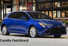 Toyota Corolla Hatchback Kendaraan Anak Muda Masa Kini Cocok untuk Generasi Z