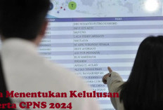 INFORMASI PENTING! Berikut Cara Menentukan Kelulusan Peserta CPNS 2024 dengan Nilai yang Sama