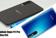 Selain Memiliki Kamera Tersembunyi, Ini Perbedaan Oppo F11 Pro dan Vivo V15