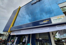 KUR Bank Mandiri, Program Pembiayaan Memajukan UMKM