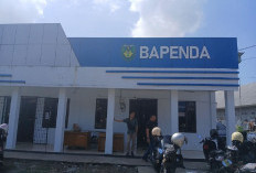 Target PAD Bengkulu Selatan 2025 Tembus Rp 31,4 Miliar, Pertengahan Tahun Sudah 56 Persen