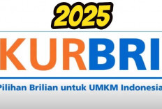 Ingin Mengajukan Pinjaman KUR BRI 2025 Sebesar 200 juta, Simak Tabel Angsuran dan Persyaratannya di Sini!