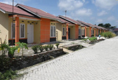 Hunian Harga Terjangkau: Ini Solusi Memiliki Rumah Subsidi Tanpa Menunggu Tabungan Terkumpul