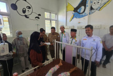 Chelsi Olivia, Bocah Pengidap Penyakit Anemia Dipastikan dapat Perawatan Kesehatan 