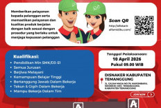 Pejuang Loker Merapat! Alfamidi Buka Lowongan Store Crew di Berbagai Kota