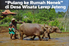 'Pulang ke Rumah Nenek' di Desa Wisata Lerep Jateng