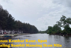 Danau Kembar Kaur, Spot Healing Sambil Mancing Ikan Nila