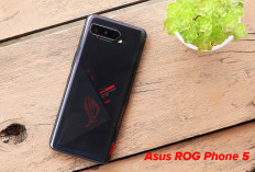 Duel Sengit Asus ROG Phone 5 vs Xiaomi Mi 11, Mana Handphone Jagoanmu?