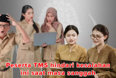 Peserta TMS Ajukan Masa Sanggah, Perhatikan Saat Masa Sanggah Hindari Kesalahan Ini 