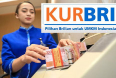 Pengajuan Pinjaman Tidak Keluar, Ini Faktor Penyebab KUR BRI Ditolak,  Cari Tahu di Sini Aja!