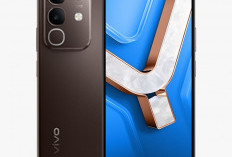 Spesifikasi Handphone Vivo Y29 Bikin Tergiur, Unggul dalam Hal Desain dan Baterai