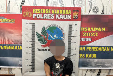 Miliki Narkoba, Warga Kaur Selatan Diciduk 