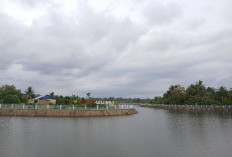 Tebat Gelumpai Disulap Jadi Surga Mancing: 100 Ribu Bibit Ikan Ditebar, Ekonomi Lokal Dipacu