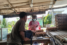 Minimnya Pendampingan, Begini  Nasib Pelaku Usaha di Kaur 