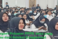 Kabar Baik, MenPAN-RB Tetapkan 2 Kategori Pelamar PPPK 2024 Ini Bebas dari Seleksi Kompetensi