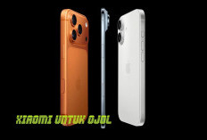 Spesifikasi dijamin Juara, Ini Rekomendasi Handphone Xiaomi untuk Ojol!