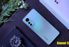 Xiaomi 12 Lite: Kombinasi Paket Lengkap yang Layak dimiliki!