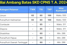 Nilai SKD CPNS di Bawah 400 Masih Berpeluang Lulus, Simak Ketentuannya