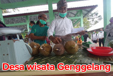 Desa Wisata Terbaik di Bali, Indahanya Pesona Pantai Penimbangan di Baktiseraga