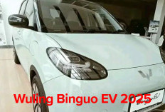 Wuling Binguo EV 2025, Mobil yang Menggiurkan, Harga Sangat Terjangkau