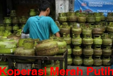 Koperasi Desa Merah Putih Didorong Jadi Agen Penyalur Produk BUMN