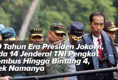 10 Tahun Era Presiden Jokowi, Ada 14 Jenderal TNI Pengkat Tembus Hingga Bintang 4, Cek Namanya