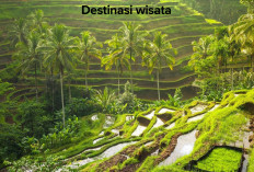 Tak Bikin Kantong Seret, Inilah Destinasi Wisata di Bali yang Low Budget!