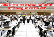 PPPK dengan Masa Kerja Minimal 1 Tahun dapat Mengikuti Seleksi CPNS, Pendaftaran CPNS Dibuka 20 Agustus 2024 