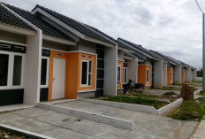 Banyak yang Tidak Tahu, Ini Permasalahan Sering Terjadi   Saat Mengurus KPR Subsidi Hingga Proses Jadi  Lama!