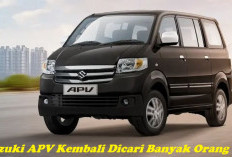 Jadi Tahu, Ternyata Suzuki APV Kembali Dicari Banyak Orang