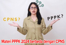 Berbeda dengan CPNS, Ini Materi PPPK 2024, Peserta Wajib Pahami 