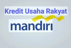 Pembiayaan Usaha Kecil, KUR Mikro Solusinya, Intip Cara Tepatnya!