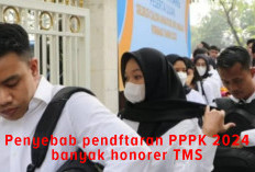 PERHATIKAN! Ini, Penyebab Honorer TMS  Saat Pendaftaran PPPK Gelombang Pertama 