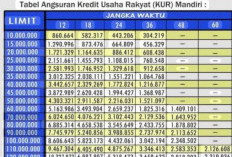 Tiga Jenis KUR Mandiri, Solusi Bagi Pelaku UMKM Mendapatkan Modal Usaha
