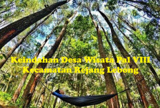 Wisata Alam Terbaik Provinsi Bengkulu: Hutan Madapi di Desa Wisata Pal VIII Rejang Lebong