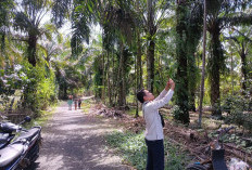 Blank Spot di Bengkulu Selatan Masih Banyak, Batu Ampar Kedurang Merasa Terasing dari Dunia Luar