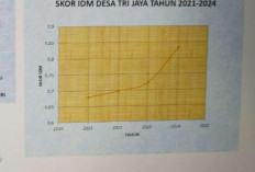 Mantap! Peningkatan IDM Desa Trijaya Meningkat Menjadi Desa Mandiri