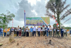 Tanam Perdana Padi Gogo di Bengkulu Selatan, Dihadiri Pejabat Kementan RI, 64 Koptan Terima Bantuan Bibit dan 