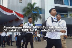 Pendaftaran PPPK 2024 : Banyak Honorer Dinyatakan TMS, Ini Penyebabnya