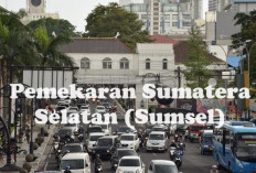 Pemekaran Sumsel Selatan! Beralih ke Kabupaten Kikim Area, Lahat Bakal Kehilangan Wilayahnya!