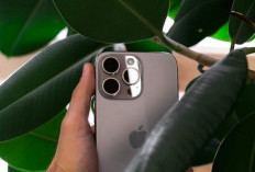 Ancaman Sekali Klik! iPhone Lama Jadi Sasaran Peretas, Apple Ambil Langkah Tak Biasa