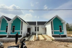 Simpel Tapi Punya Daya Tarik: 4 Pilihan Mempercantik Rumah Subsidi Agar Tak Bosan