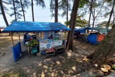 Pasar Bawah Tak Ada Kemajuan! Objek Wisata di Bengkulu Selatan Sulit Berkembang, Ini Biang Keladinya