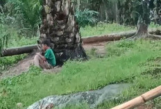 ALHAMDULILLAH! Wabup Pastikan Blankspot di Desa Ganjuh dan Batu Ampar Segera Ditindaklanjuti