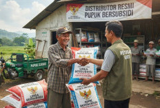 Harga Pupuk Subsidi Urea dan NPK Turun, Pemkab Bengkulu Selatan Ambil Tindakan Ini!