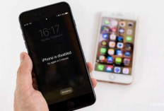iPhone Hilang Tak Lagi Bikin Panik, Ini Fitur Rahasia Apple yang Jarang Dipakai
