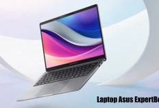 Laptop Asus ExpertBook Hadir dengan Layar IPS, Makin Berkelas dan Mewah