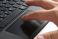 Panik Touchpad Laptop Tidak Berfungsi, Ternyata Ini 5 Penyebabnya Loh!