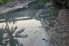 Sungai Perumbaian Diduga Tercemar Kembali Limbah PT KGS, Pemerintah Diam, Ada Apa? 